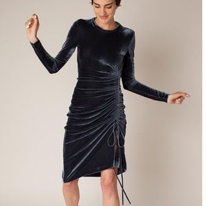 Rachel Antonoff Velvet Flora Ruched Midi Dress